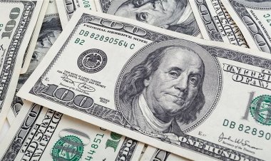 هل استقر الدولار على هذا السعر في السوق العراقية؟