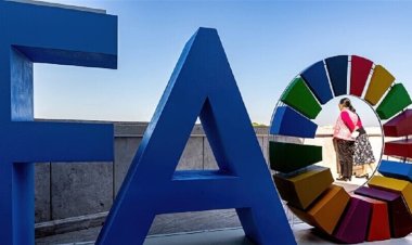 الفاو: أزمة مضيق هرمز صدمة نفطية وكارثة غذائية تهدد العالم