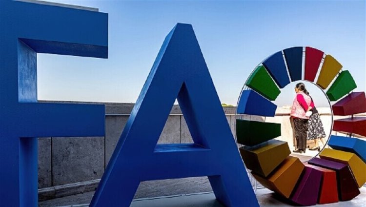 الفاو: أزمة مضيق هرمز صدمة نفطية وكارثة غذائية تهدد العالم